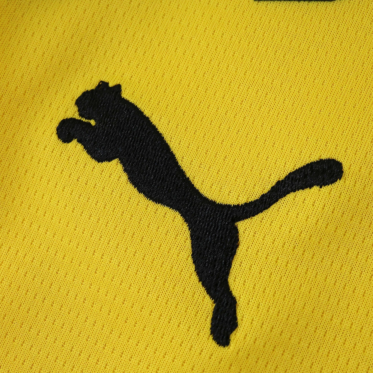 Camisa Borussia Dortmund Home 2025/26 - Torcedor Masculino