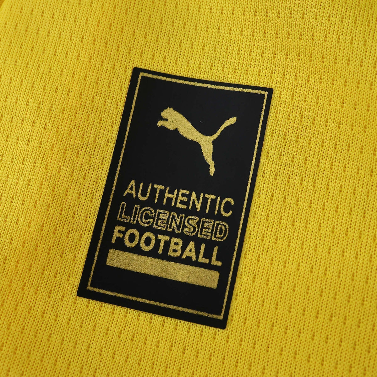 Camisa Borussia Dortmund Home 2025/26 - Torcedor Masculino