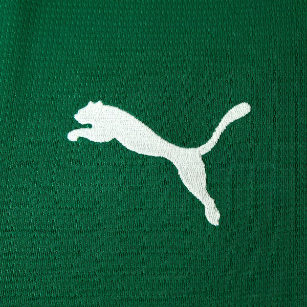 Camisa Palmeiras Home 2026/27 - Jogador Masculino
