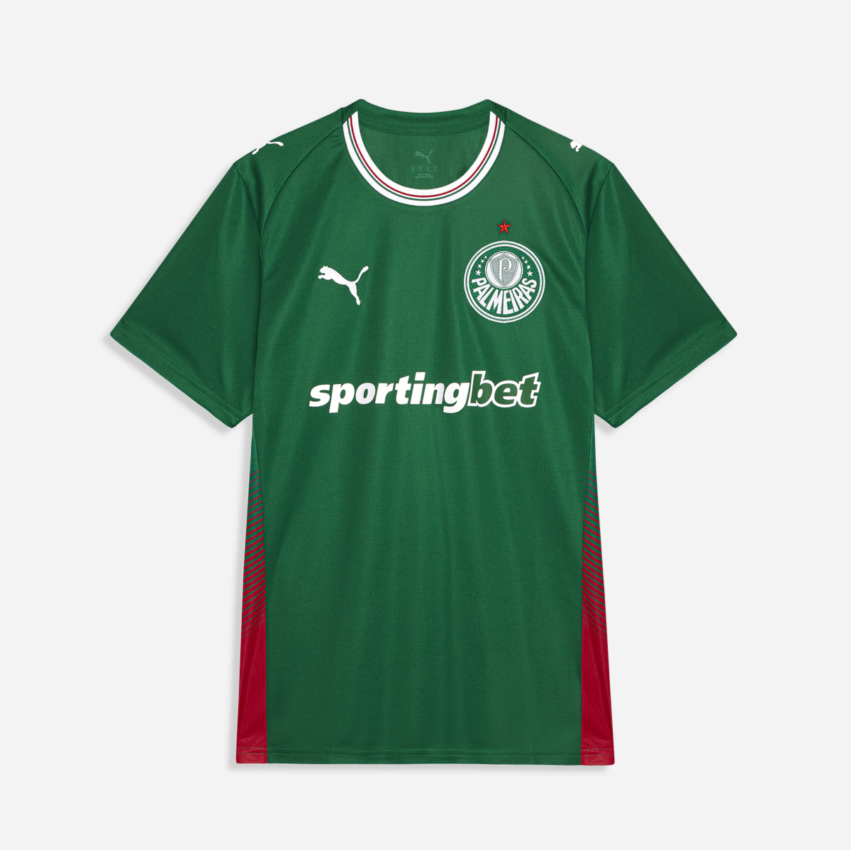 Camisa Palmeiras Home 2026/27 - Torcedor Masculino