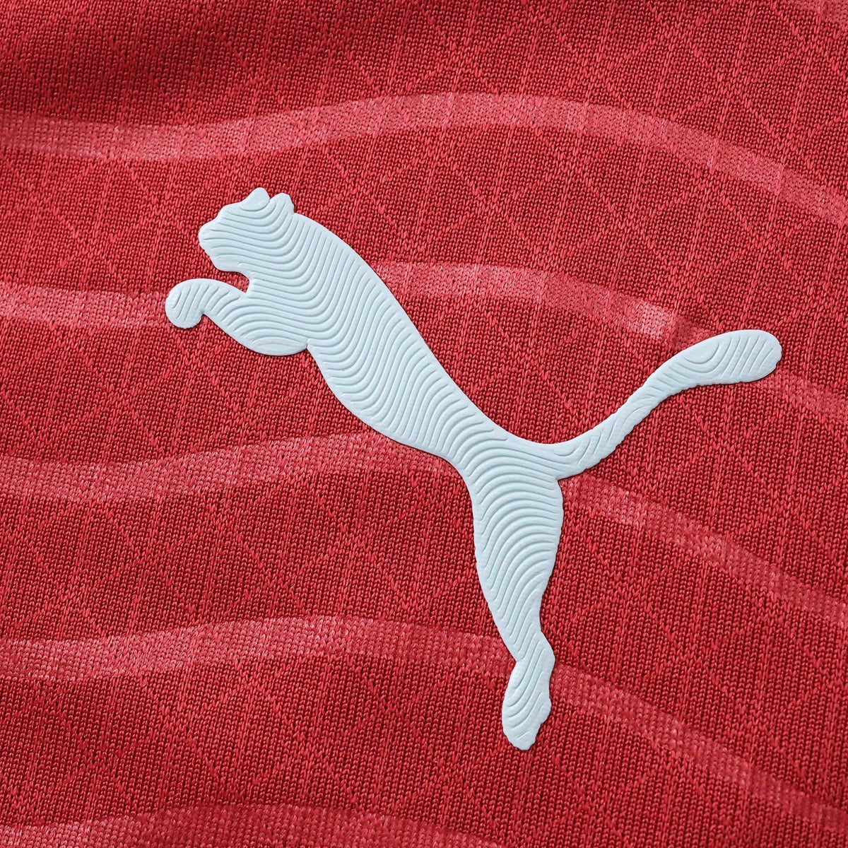 Camisa Portugal Home 2026/27 Manga Longa - Jogador Masculino